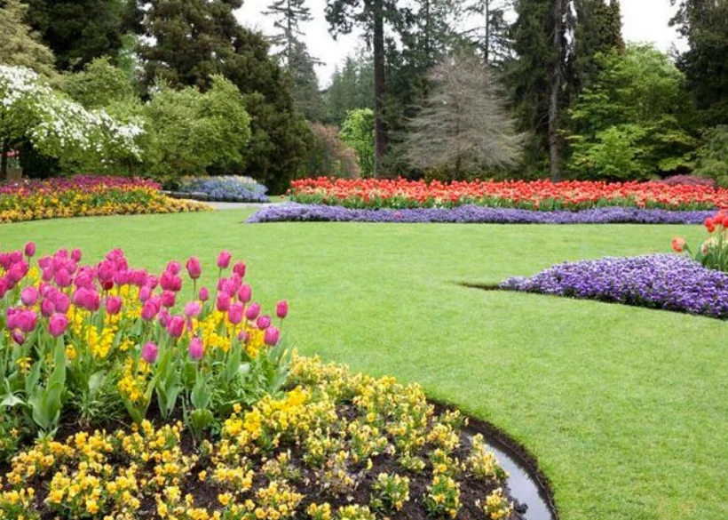 Untitled-design-7-ppn6gc0e9qp1lqiozpx76bns8pz3sz2tyd8gp4xdqy